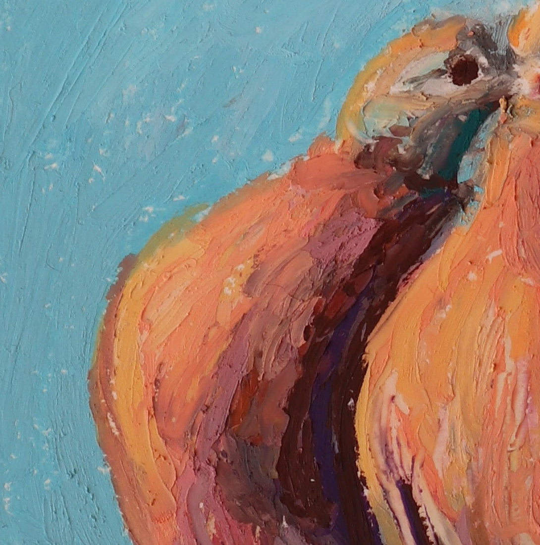 Birds of a Feather [Limited Preorder]