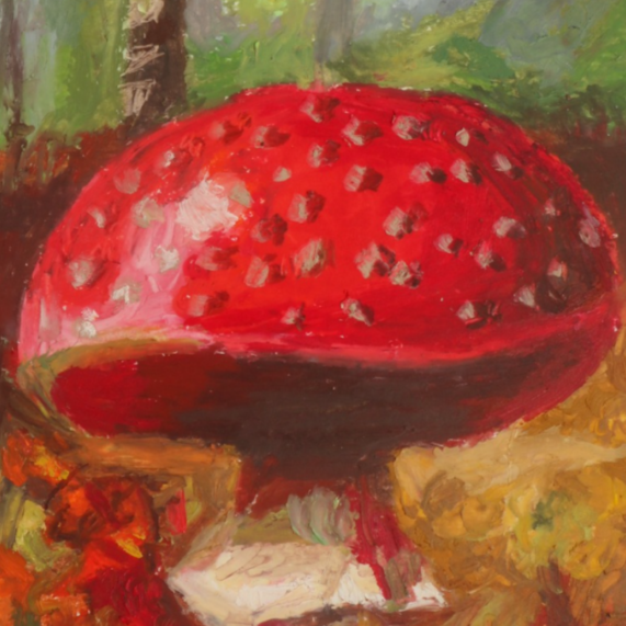 From the Forest Floor